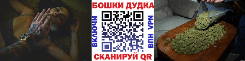 Купить где  Дмитров  Бошки марихуана план 